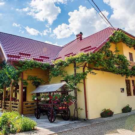 Hotel Casa Andreea Suczawica Zewnętrze zdjęcie
