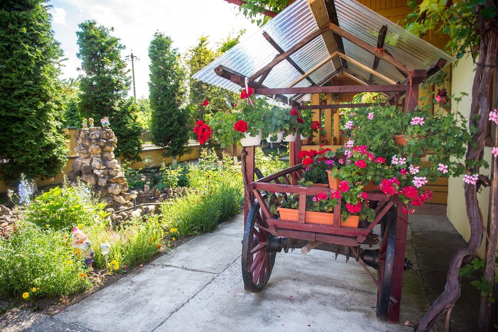 Hotel Casa Andreea Suczawica Zewnętrze zdjęcie