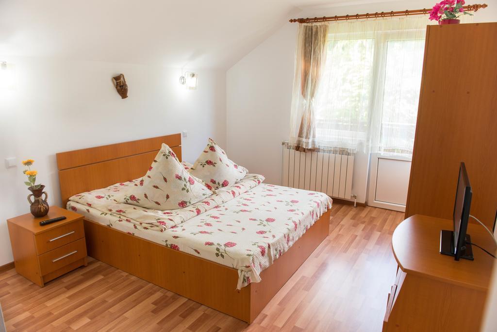 Hotel Casa Andreea Suczawica Zewnętrze zdjęcie