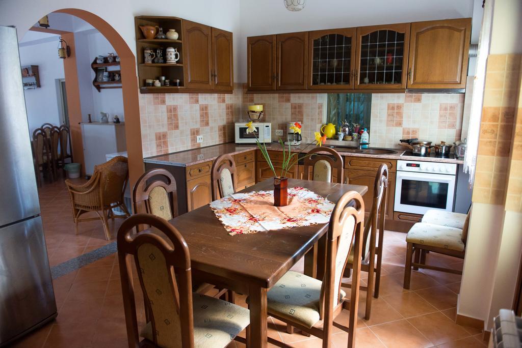 Hotel Casa Andreea Suczawica Zewnętrze zdjęcie