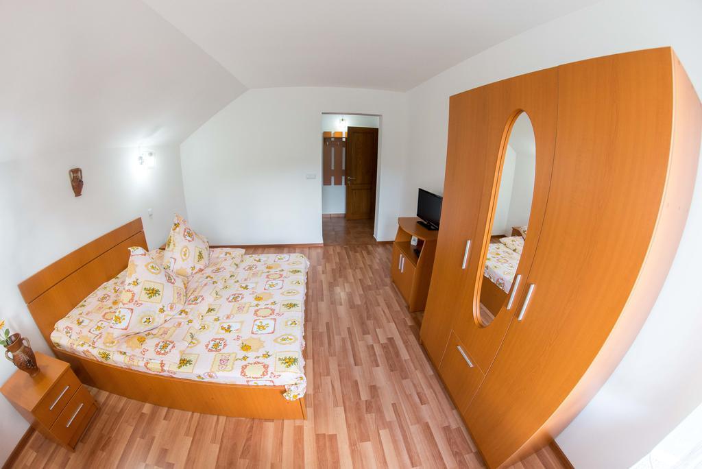 Hotel Casa Andreea Suczawica Zewnętrze zdjęcie