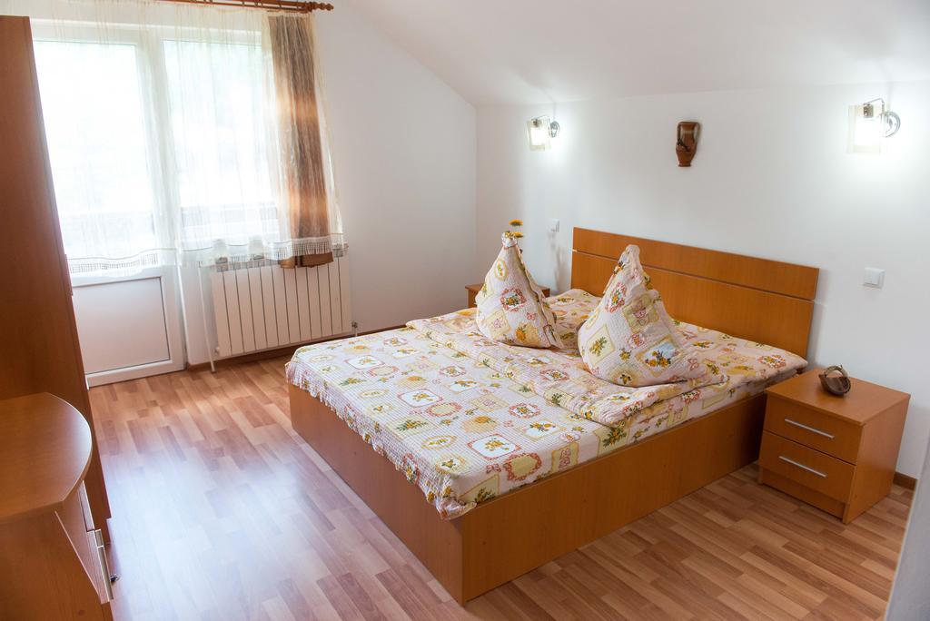 Hotel Casa Andreea Suczawica Zewnętrze zdjęcie