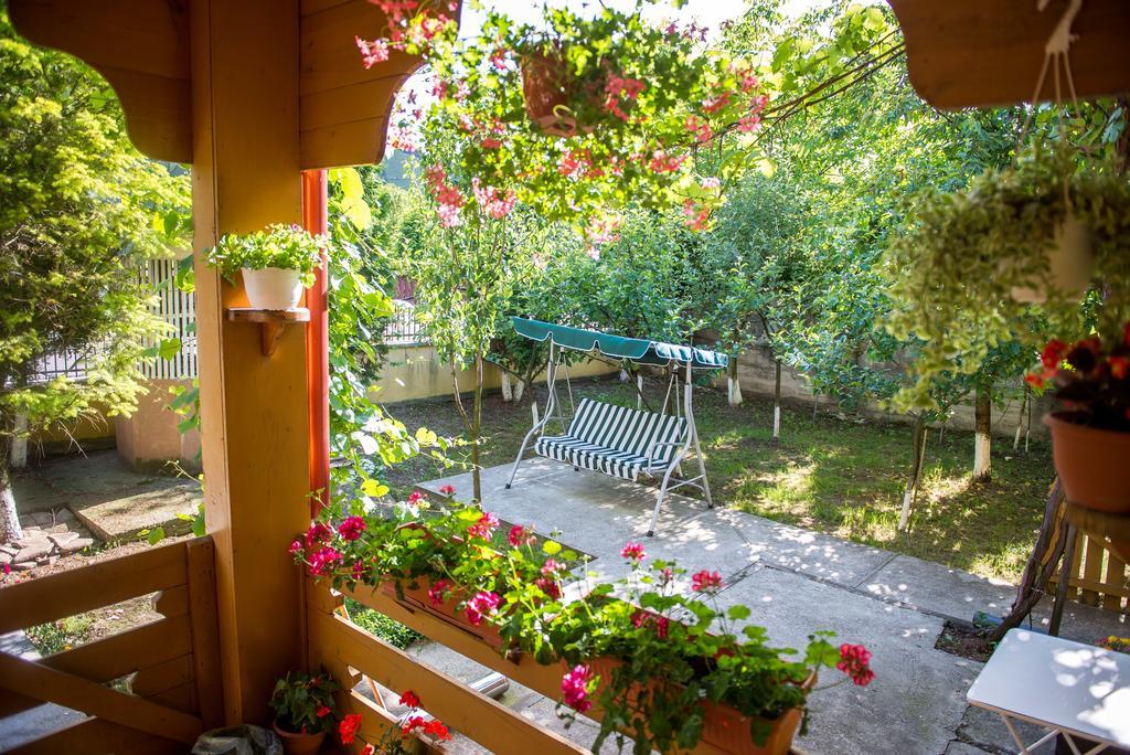 Hotel Casa Andreea Suczawica Zewnętrze zdjęcie