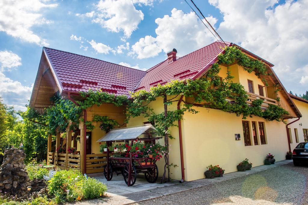 Hotel Casa Andreea Suczawica Zewnętrze zdjęcie