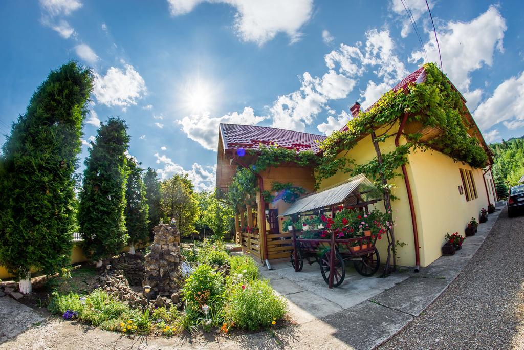 Hotel Casa Andreea Suczawica Zewnętrze zdjęcie