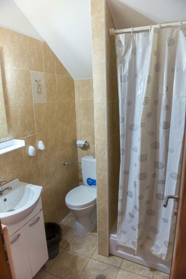 Hotel Casa Andreea Suczawica Zewnętrze zdjęcie